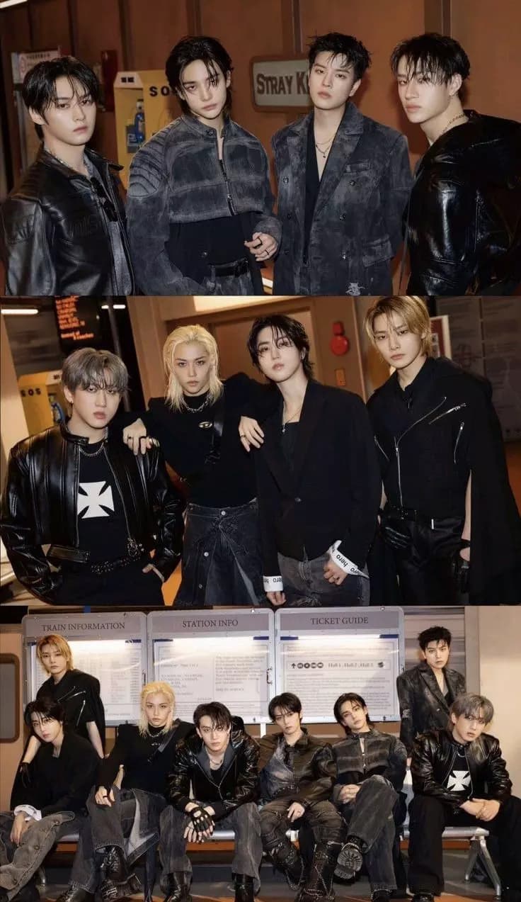 ╰►┊ STRAY KIDS. thumbnail