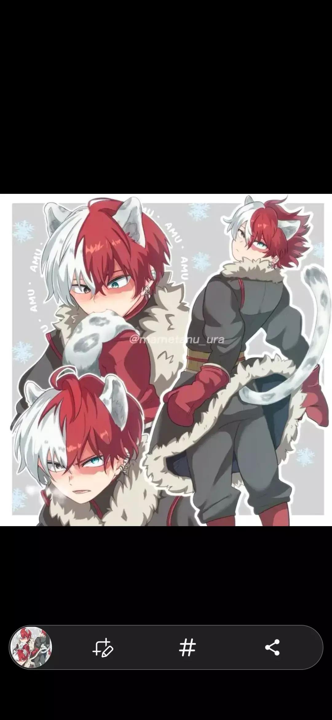 Todoroki (alpha prince of the territory of the White Leopard) thumbnail