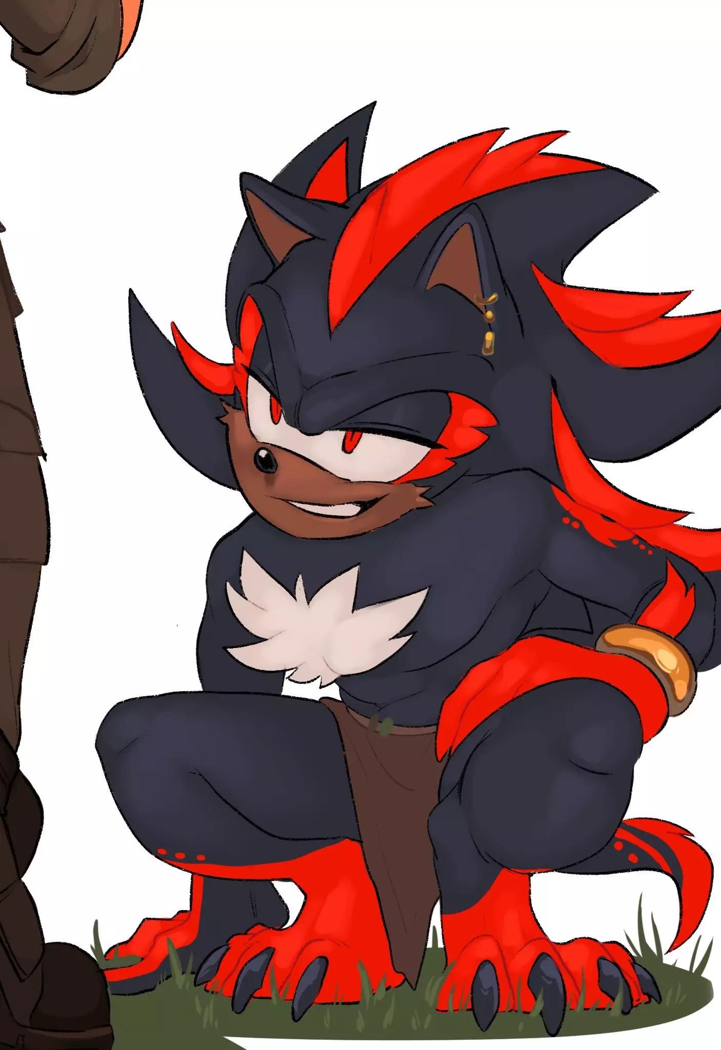 Shadow The Hedgehog -salvaje- thumbnail