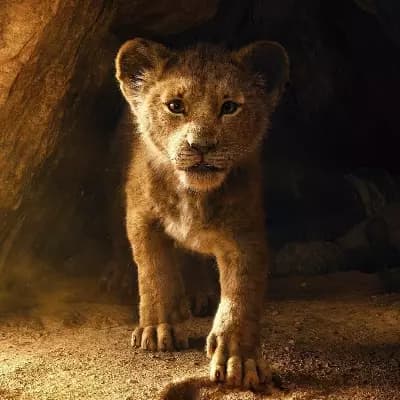 Simba thumbnail
