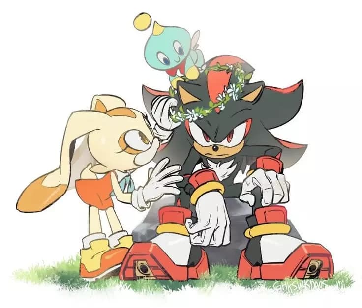 SHADOW THE HEDGEHOG - (Cuidador) thumbnail