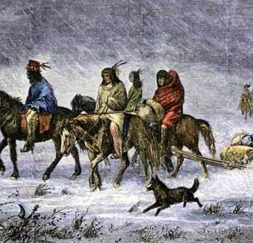 Hawk the cheif's son (The trail of tears) thumbnail