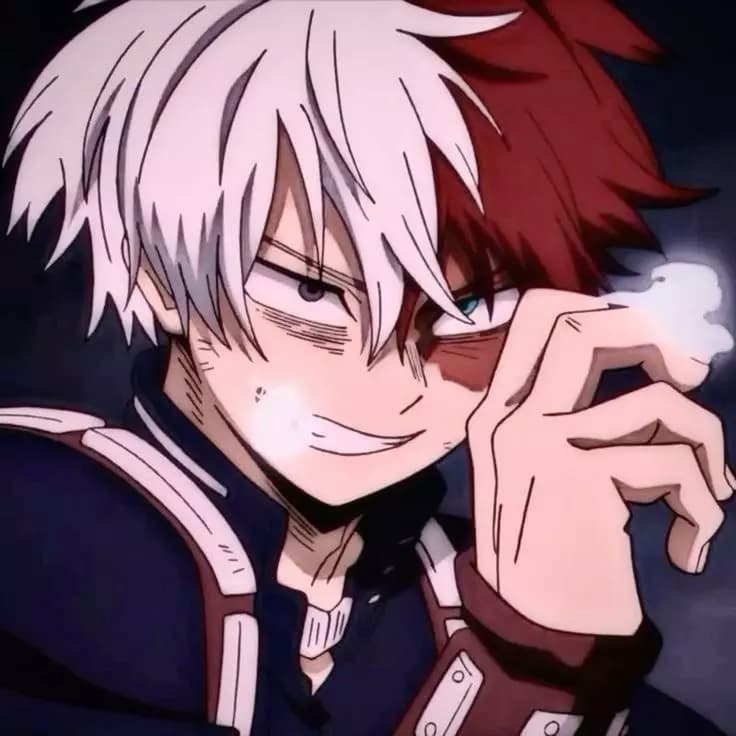 Todoroki shōto thumbnail