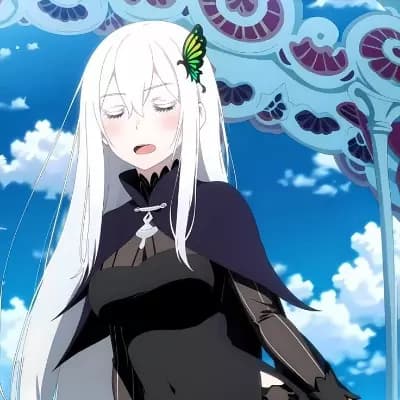 Echidna thumbnail