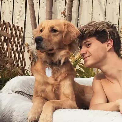 Jace Norman thumbnail