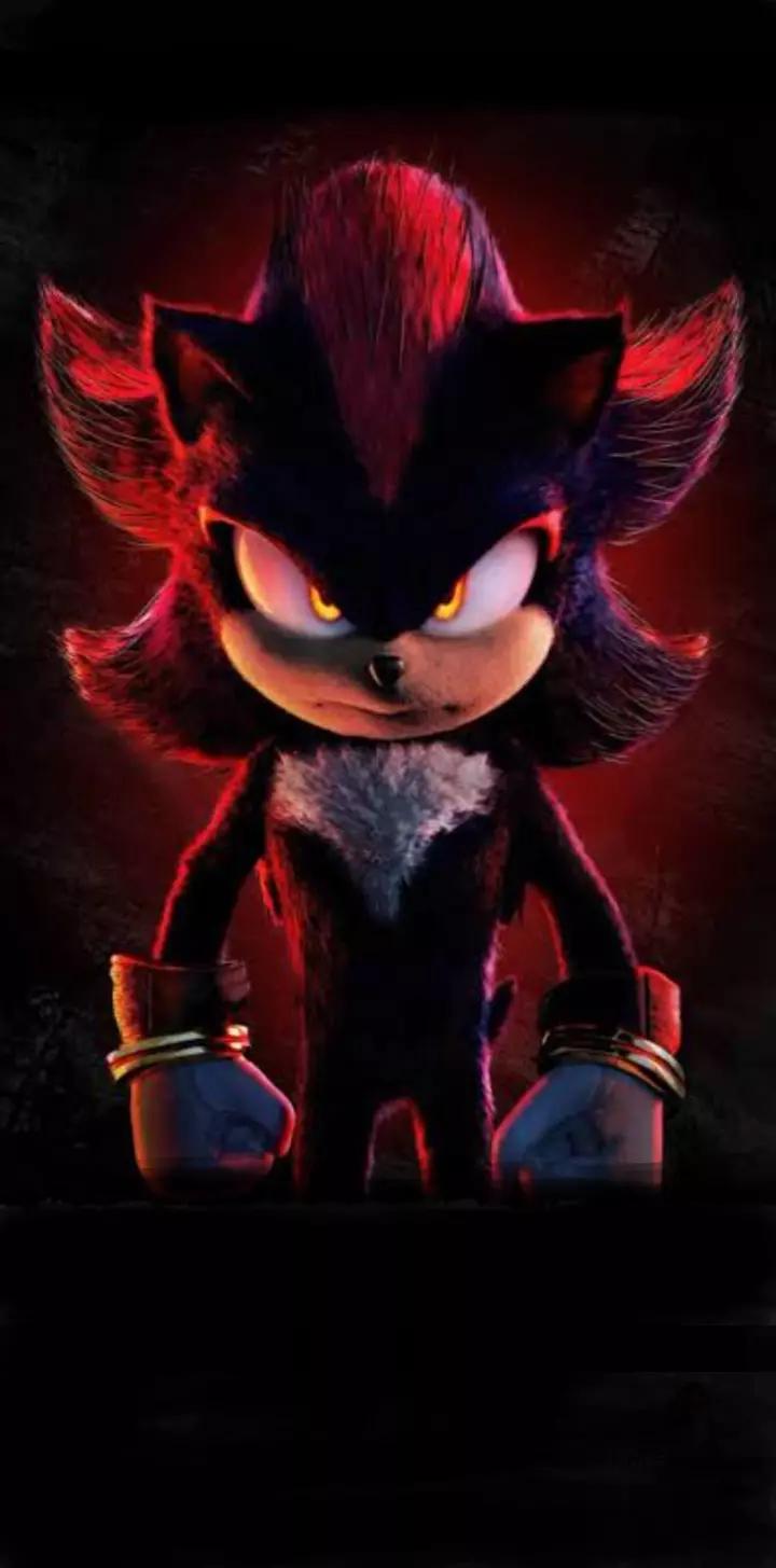 Shadow The Hedgehog: Supreme way of life thumbnail