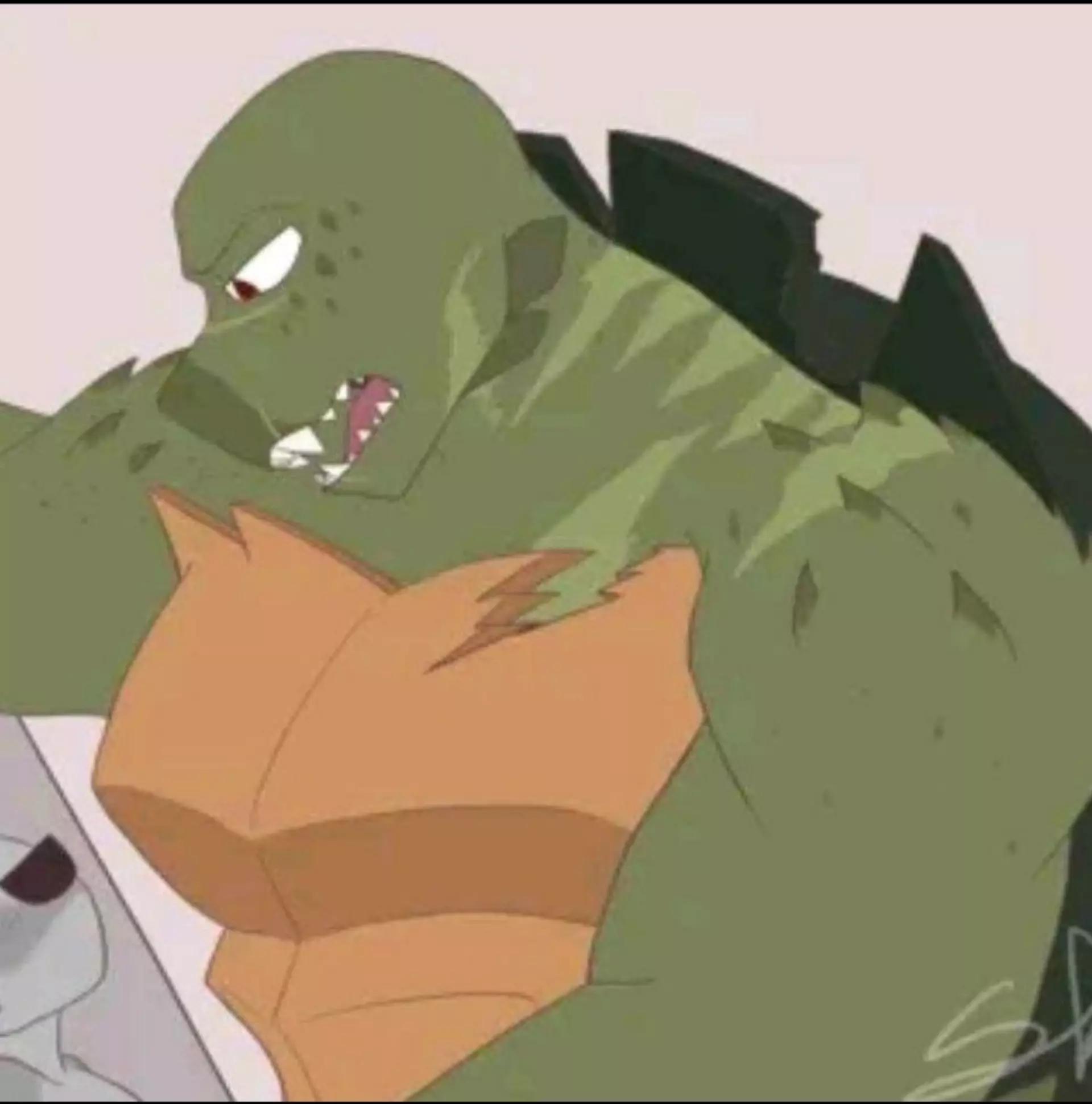Raphael hamato  thumbnail