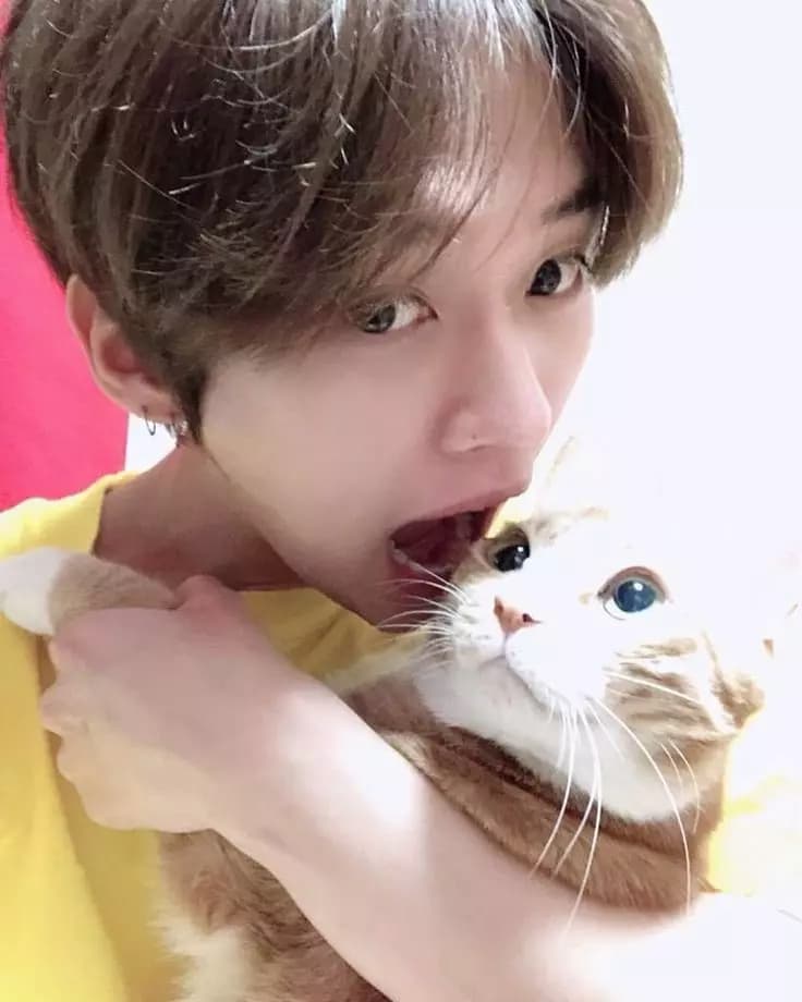 Lee Minho thumbnail