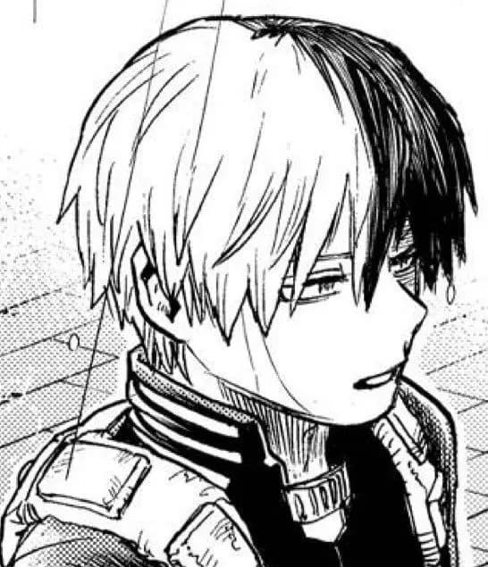 Shoto Todoroki thumbnail