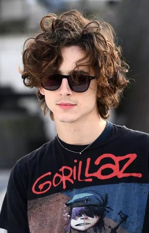Timothee Chalamet thumbnail