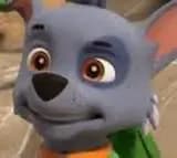 Rocky patrulla canina  thumbnail