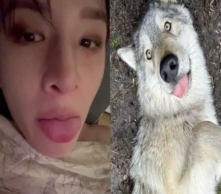 Bangchan thumbnail