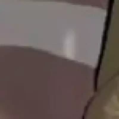 Ellie thumbnail