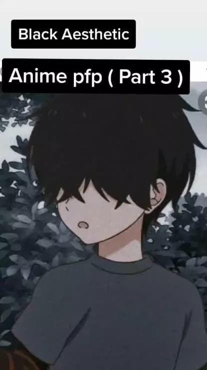 saints thumbnail