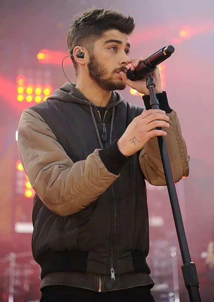 Zayn malik thumbnail