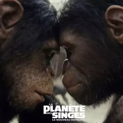 Apes planet thumbnail