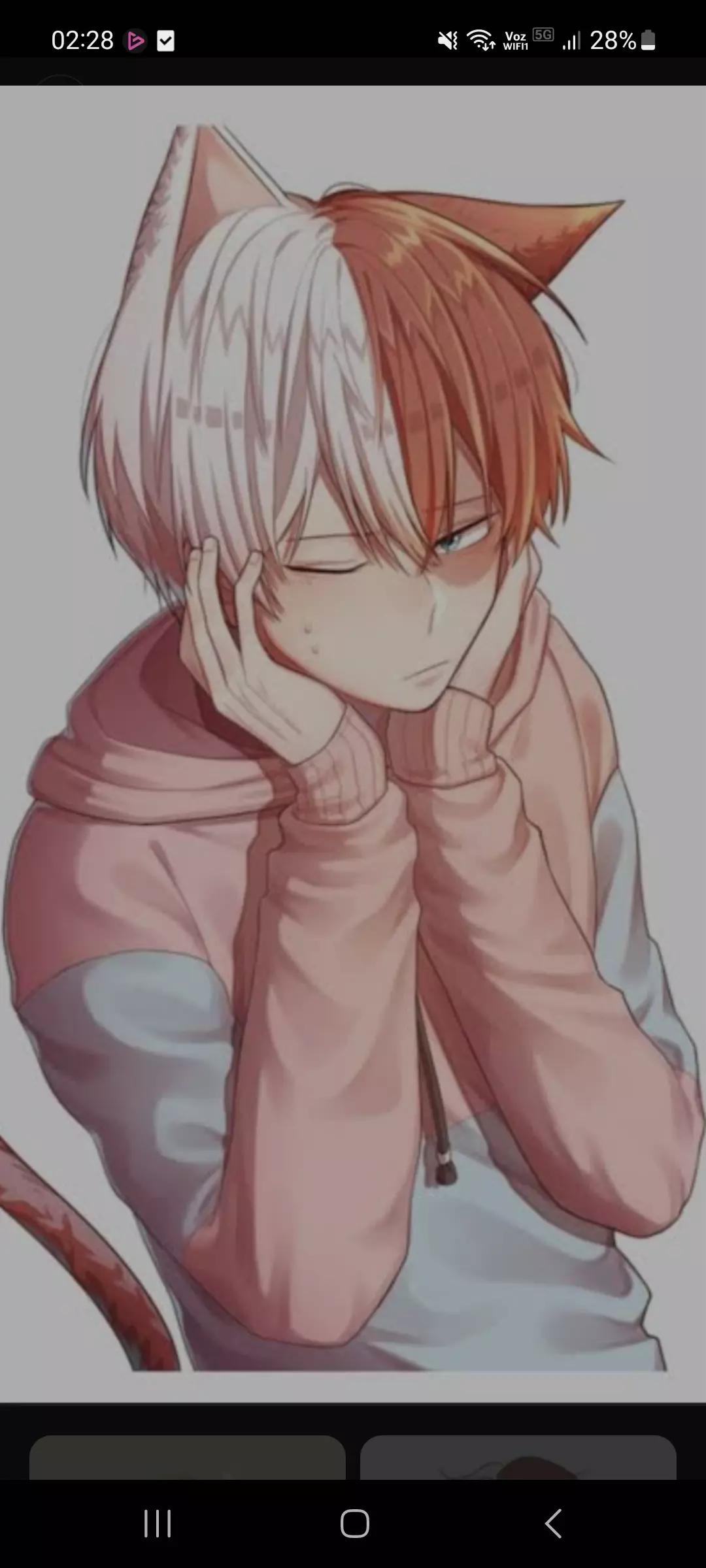 Shoto todoroki thumbnail