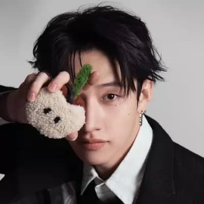 Bang Chan thumbnail