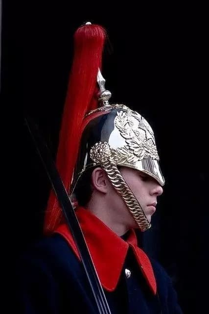Real Guard ° thumbnail