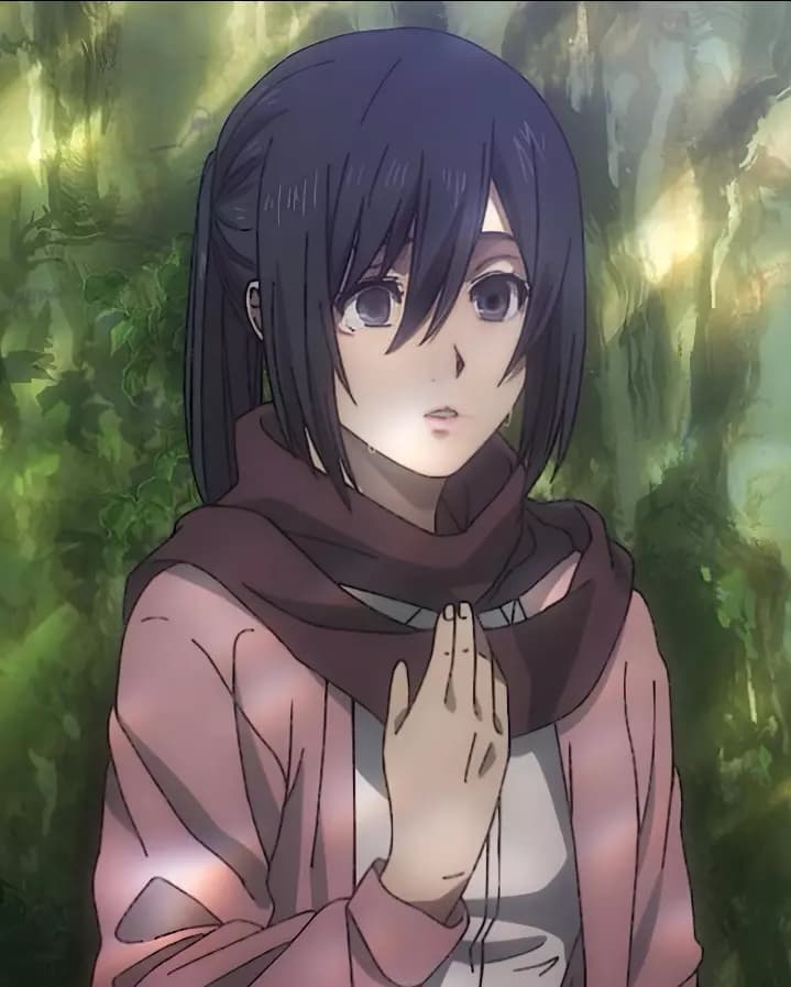 Mikasa thumbnail