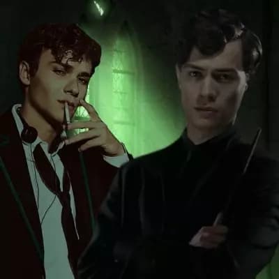 Tom y Mattheo Riddle  thumbnail
