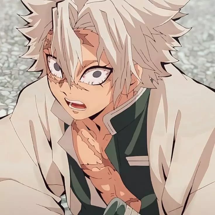 Sanemi shinazugawa  thumbnail