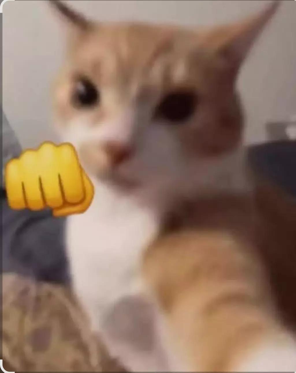 Junín thumbnail