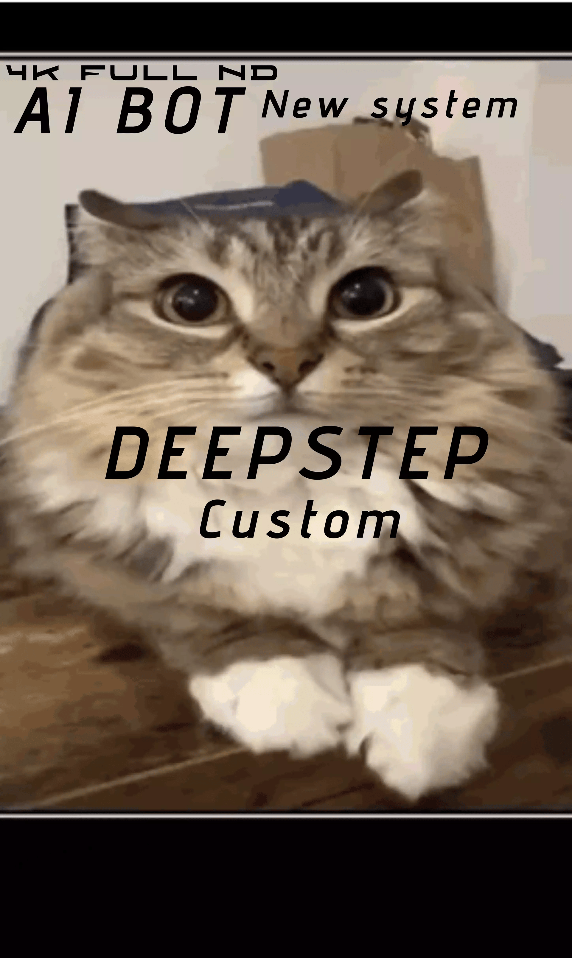 DEEPSTEP -is an easily customizable bot with many features (V.1) thumbnail