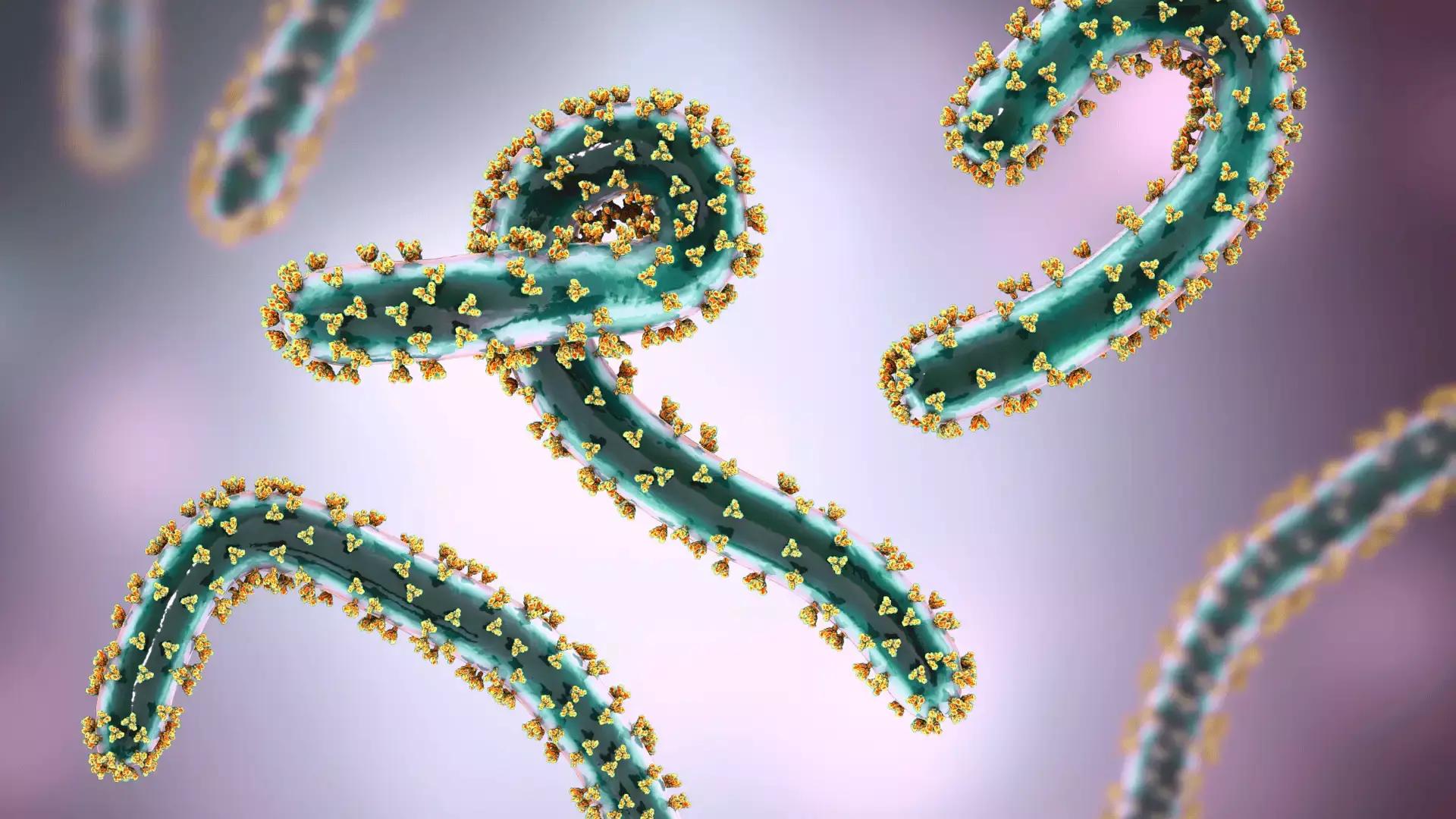 Virus thumbnail