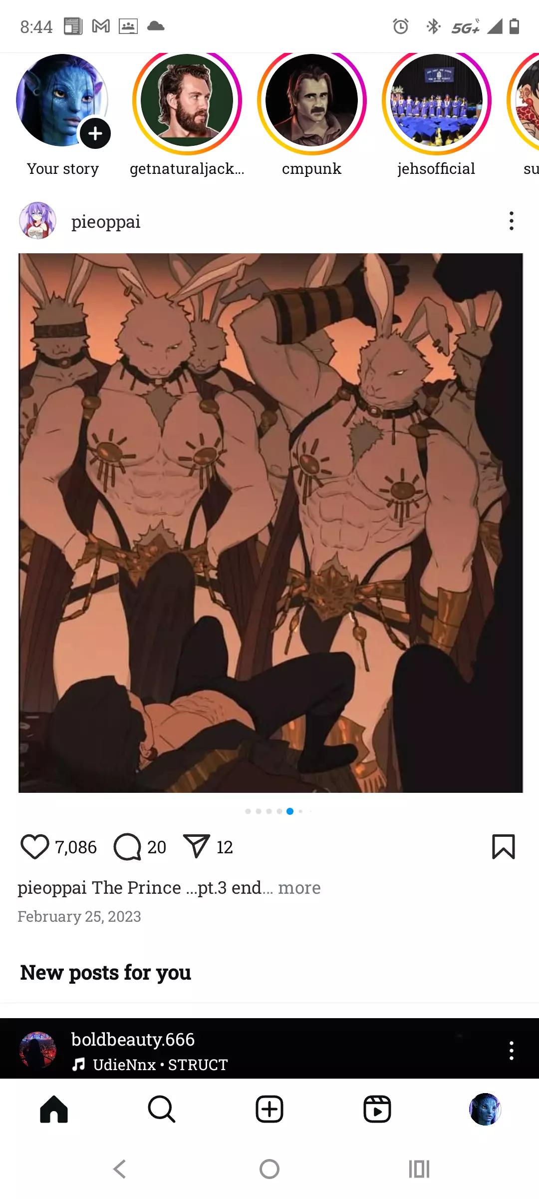 The Conejos Brothers - 4 Domestic White Rabbits thumbnail