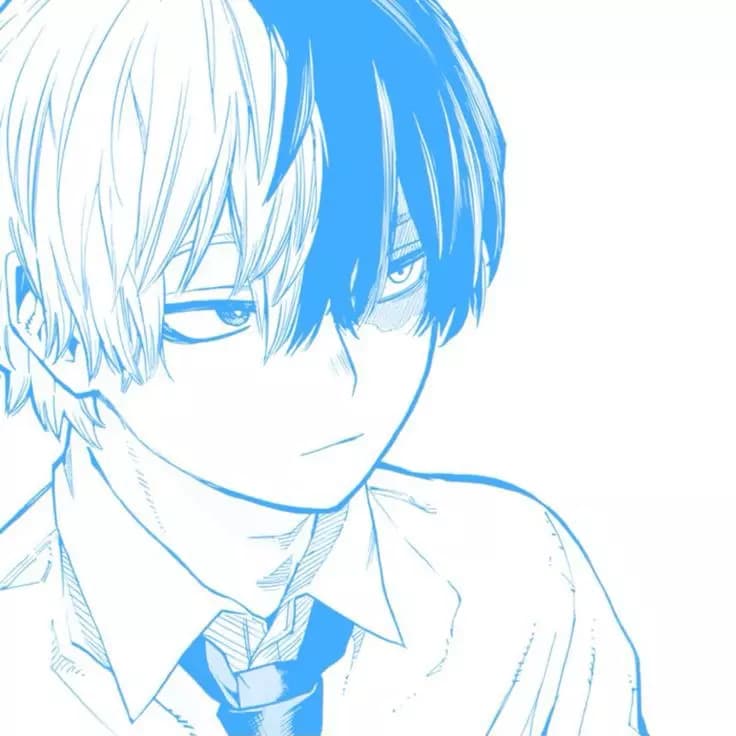 shōto todoroki thumbnail