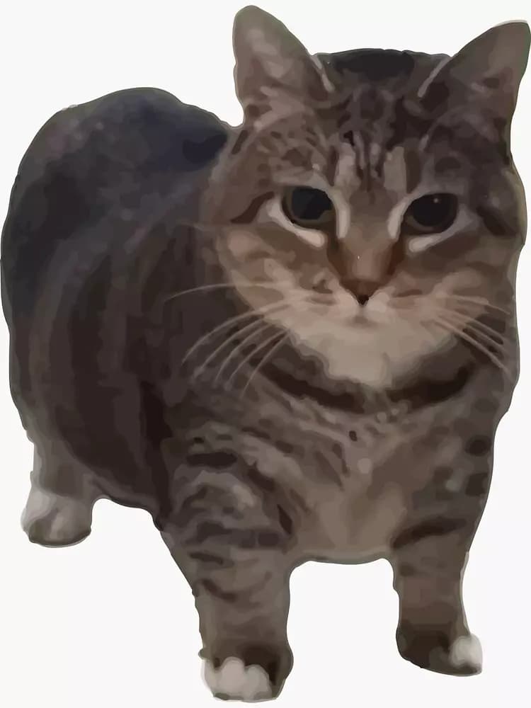 Gato oiiaioiiiai thumbnail