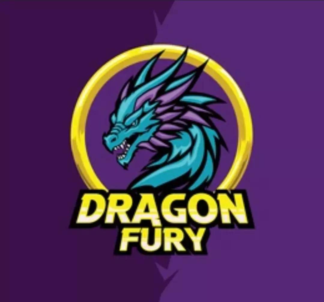Dragon Fury Rangers  thumbnail