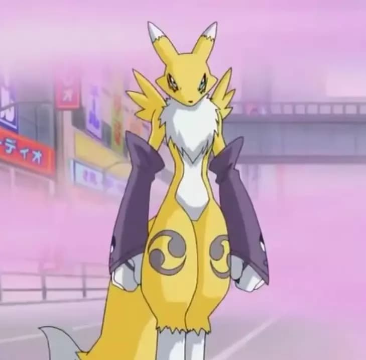Renamon thumbnail