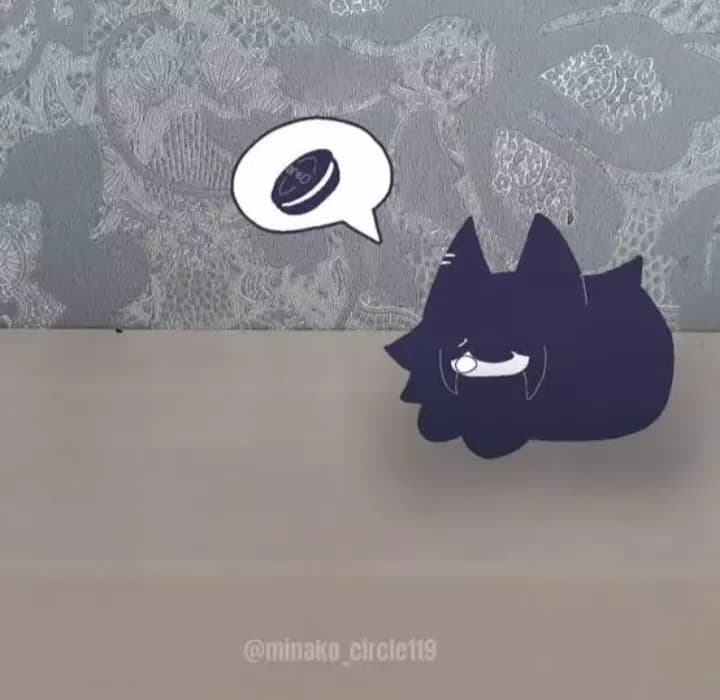 Miss circles cat thumbnail