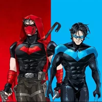Richard 'Dick' Grayson & Jason Todd thumbnail