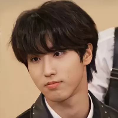 Stray Kids(Lee Minho, Lee Felix, Hwang Hyunjin, Yang Jeongin.) thumbnail