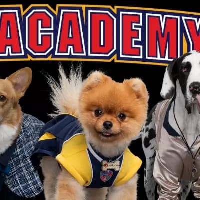 D.O.G. thumbnail