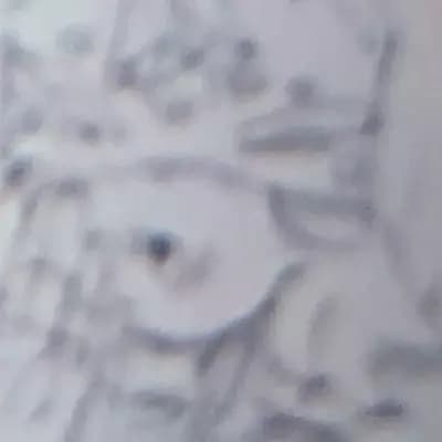 Kitty thumbnail