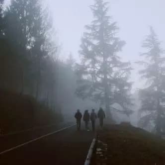 Four Survivors thumbnail
