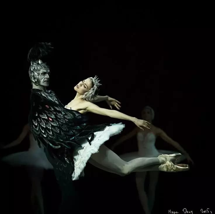 Black Swan thumbnail