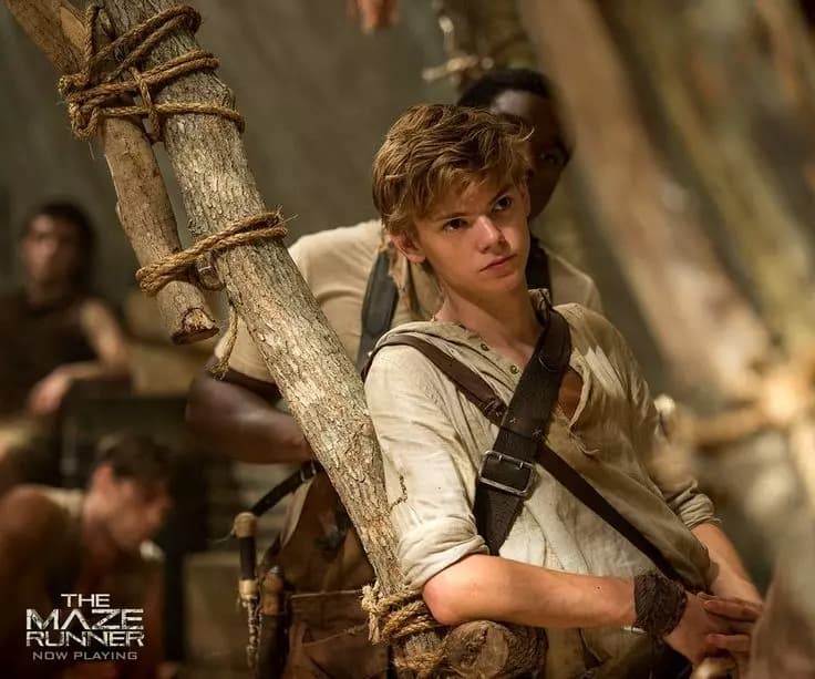 Newt thumbnail