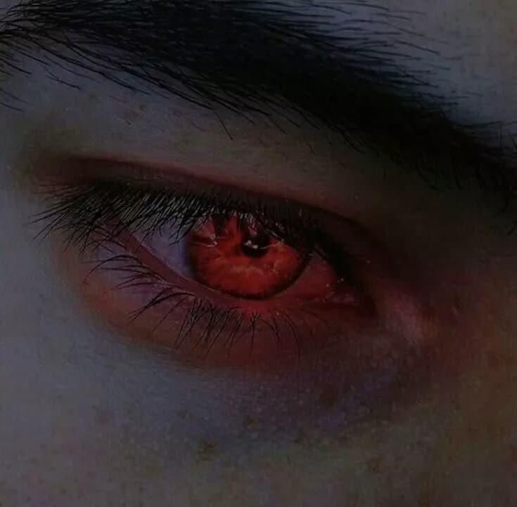 Blake Family | Vampires thumbnail