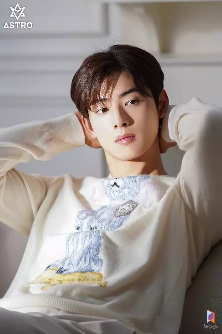 Cha Eun Woo thumbnail