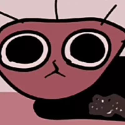 The boiled one phenomenon cat thumbnail