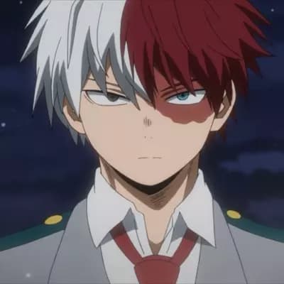 Shoto Todoroki thumbnail
