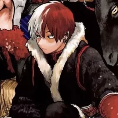 Shoto Todoroki thumbnail