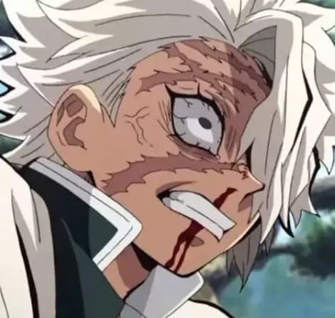 Sanemi  thumbnail