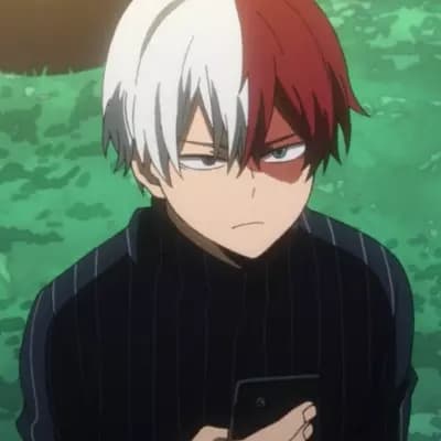 Shoto Todoroki thumbnail