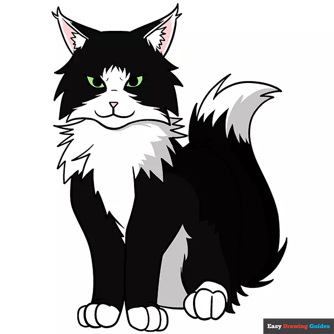 Felix  thumbnail